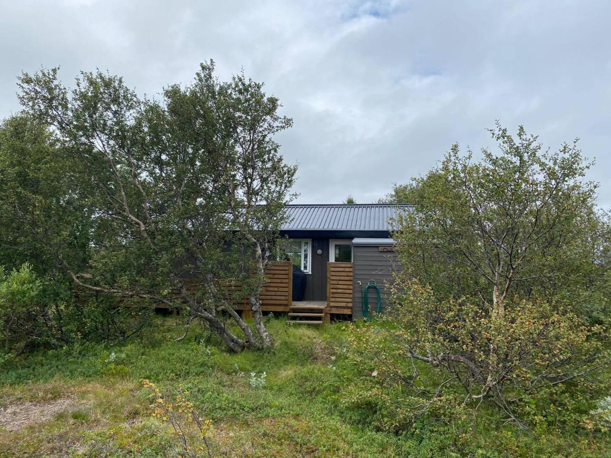 Cabin In The Lava. Near Husavik Skogar  Dış mekan fotoğraf